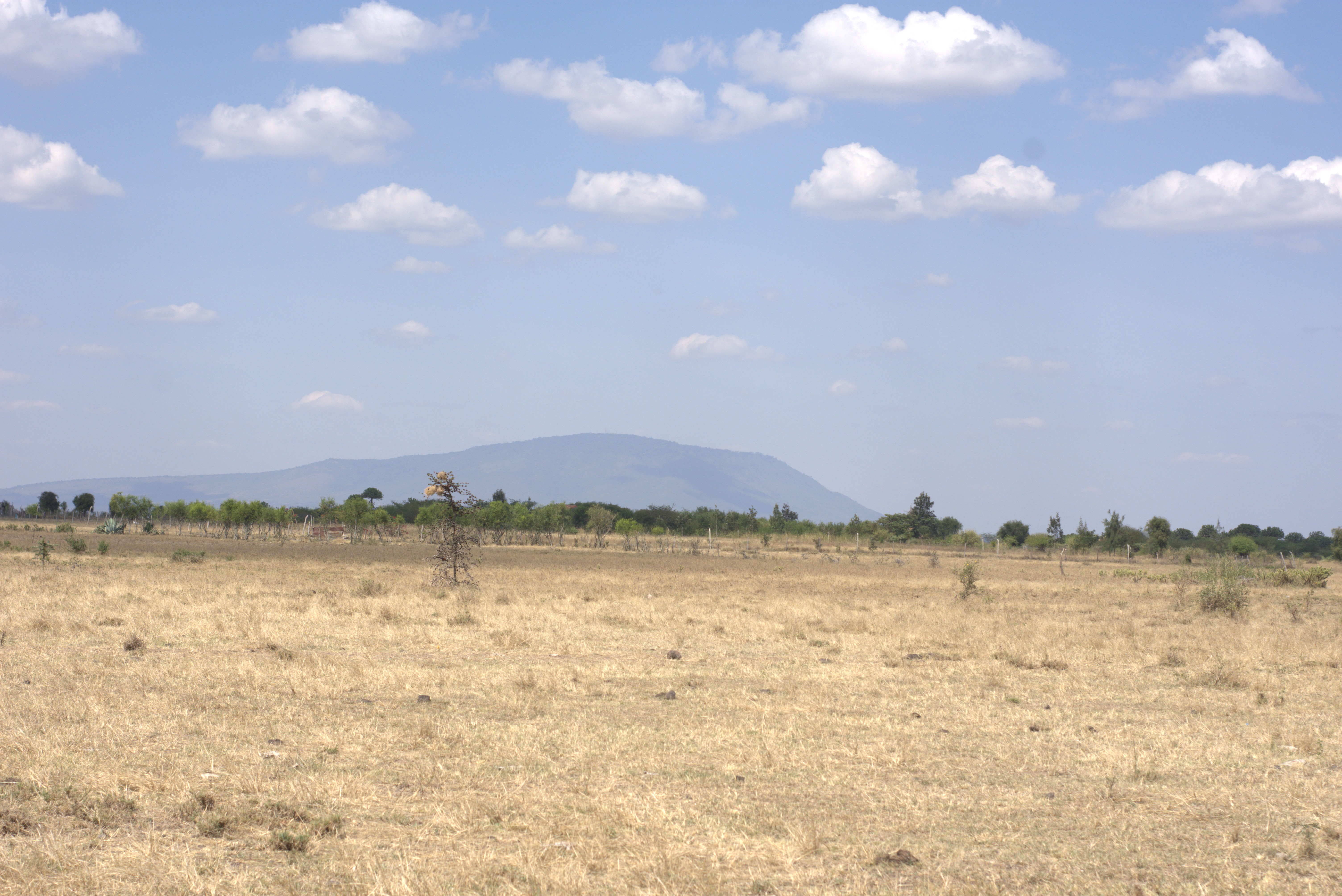Mwalimu Farm 4